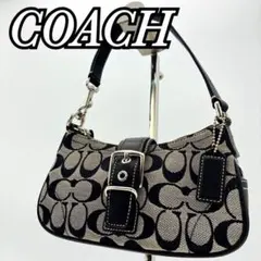 COACH accessory pouch signature soho