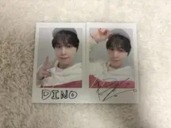 SEVENTEEN CARAT LAND 2020 ポラロイド ディノ