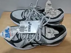 Item thumbnail for item fa32f953-f47f-4224-98bc-8db9217e74a7