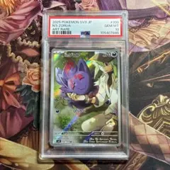 nのゾロア ar psa10