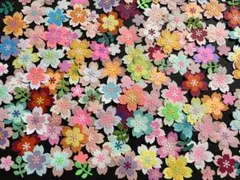 クラフトパンチ　桜　カラフル100枚　さくら・アルバム制作　小桜・葉サービス