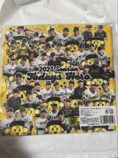 阪神タイガース ヒーローグッズ1.....2