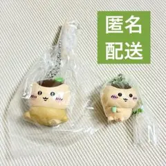 ちいかわ くりまんじゅう まとめ売り