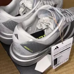 Adidas Adizero Evo SL Silver