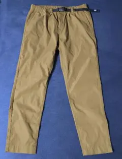 Item thumbnail for item 48f784b3-03a1-4689-9774-031056ae31cd