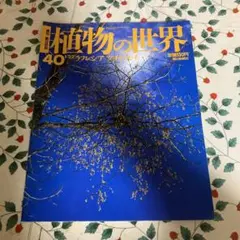 YU_様 リクエスト 3点 まとめ商品