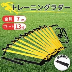 トレーニングラダー 7m キッズ サッカー 陸上 スポーツ 基礎 瞬発力 練習のサムネイル
