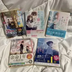恋愛小説 セット売り 別売り可のサムネイル