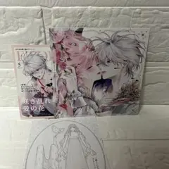 物語シリーズ ボールドキャンバス 忍野忍 西尾維新 渡辺明夫 - メルカリ