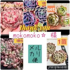 【メルカリ便】mokomoko☆様 リクエスト 5点 まとめ商品