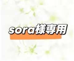 sora様専用ページ