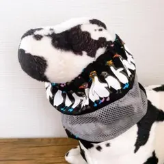 らいちゃん(☆∀☆)様 リクエスト 2点 まとめ商品