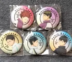 ハイキュー!!　振り向きシャイニー缶バッジ　 ５点セット