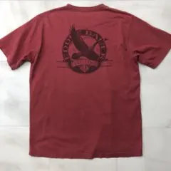 00s Eddie Bauer エディーバウアー フェード Tシャツ M メンズのサムネイル