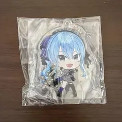 2026年最新】星街すいせい アクリルスタンドの人気アイテム - メルカリ