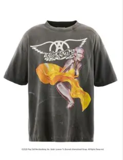 Aerosmith World Tour 01/02 Tシャツ M正規品 空山基 - メルカリ