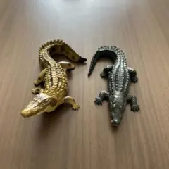 アニア　ワニ　セット