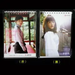 Item thumbnail for item d93cc970-cc3f-4a72-a380-da2a930fcad1