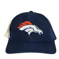 デッドストック　90s ツインズ・エンタープライズ　NFL キャップ