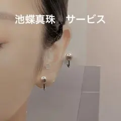 A 池蝶真珠　淡水真珠　7-8mm パールイヤリング　本真珠