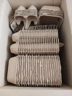 Item thumbnail for item 2ceea7e2-2e6d-4702-8718-707f6006c24e