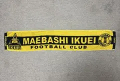 前橋育英高校 サッカー部 タオル