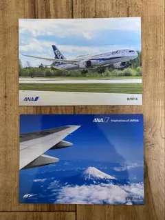 2008年ANA 787型機　　入手困難非売品クリアファイル１枚A４サイズ ANA ボーイング787 クリアファイル A4サイズ 飛行機 グッズ 非売品