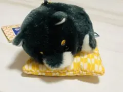 豆しば三兄弟 お座布でくつろぎ LMC マスコット 黒柴