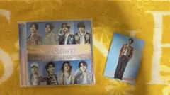 SUNFLOWER トレカ LIVE盤 FANTASTICS セミコンプ SUNFLOWER トレカ LIVE盤 FANTASTICS セミコンプ - メルカリ