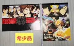 【希少品】家庭教師ヒットマンREBORN 2009年カレンダー