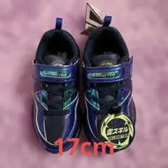 Item thumbnail for item 6704dec2-5b43-4087-b7c1-c493beb2bd2f