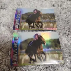 サラブレットホースコレクション メイショウサムソン ノーマル サイン入り