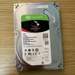 Seagate IronWolf 1TB HDD 正常判定 ② 最終値下げ