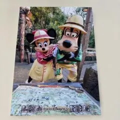 2026年最新】フォトファン ディズニーの人気アイテム - メルカリ