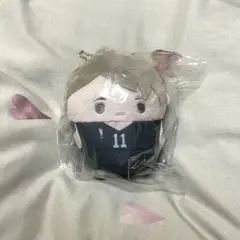 ハイキュー‼︎ くじメイト　ぬいくじ　D賞　宮治