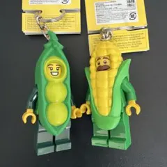 レゴランド ライトキーホルダー 恐竜 2種 セット - メルカリ
