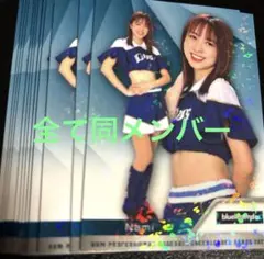 12枚セット Nami なみ