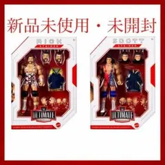 マテル社版 WWEプロレスフィギュア カブキウォリアーズ Asuka＆kairi