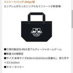 RB大宮アルディージャ　ミニトートバッグ ブラック
