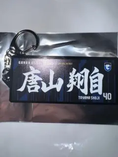 ガンバ大阪 推しガチャ 名和田 モフレム タオル ユニフォーム
