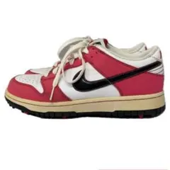 NIKE WMNS DUNK NG SL/487116-101/24cm