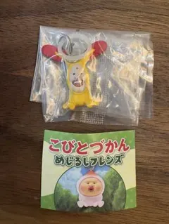 こびとづかん めじるしフレンズ　ホトケアカバネ