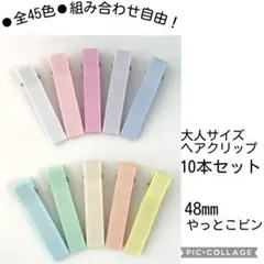 オーダーOK＊シャーベットカラーのヘアクリップ10本 48mm やっとこピン