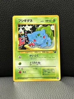 フシギダネ　ポケモンカード　旧裏　イントロパック　美品
