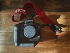【名機/VG-10付】Canon EOS 5 QD 訳あり特価 ストラップ付