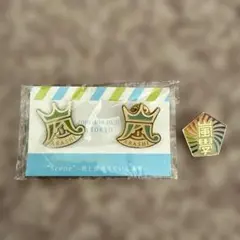 嵐 ピンバッジ3点セット