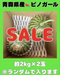 【SALE】訳あり★青森県産 ピノガール 小玉スイカ 2玉のサムネイル