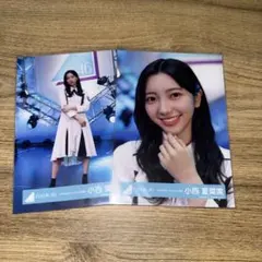 瑛*様 日向坂46 小西夏菜実 生写真 まとめ売り - メルカリ