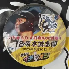 阪神タイガース イチオシ缶バッジ 坂本誠志郎捕手