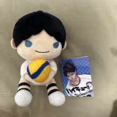 新品 ハイキュー のるキャラマスコット 牛島若利 AD シュヴァイデン